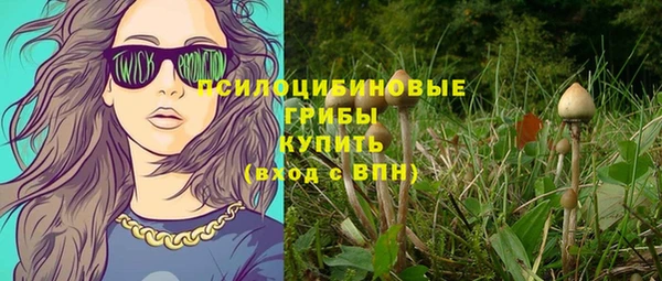 винт Абаза