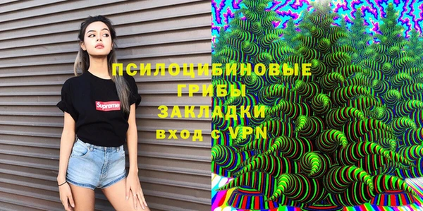 винт Абаза