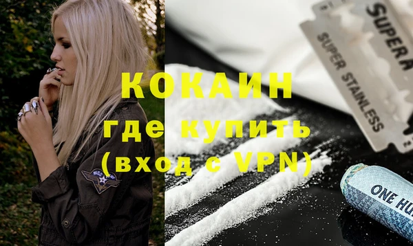 винт Абаза
