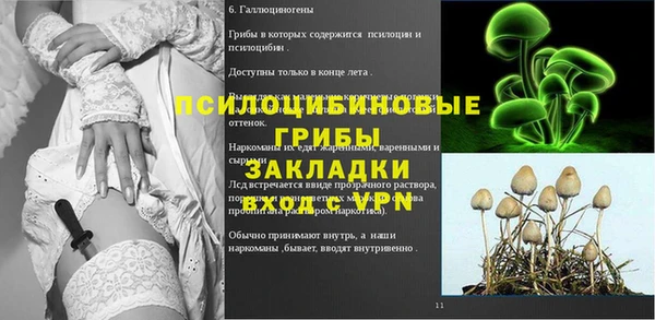 винт Абаза