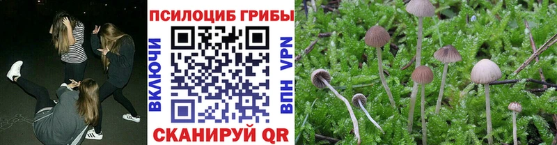Галлюциногенные грибы GOLDEN TEACHER  цены наркотик  Богородицк 