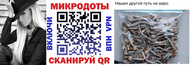 Галлюциногенные грибы мухоморы Богородицк