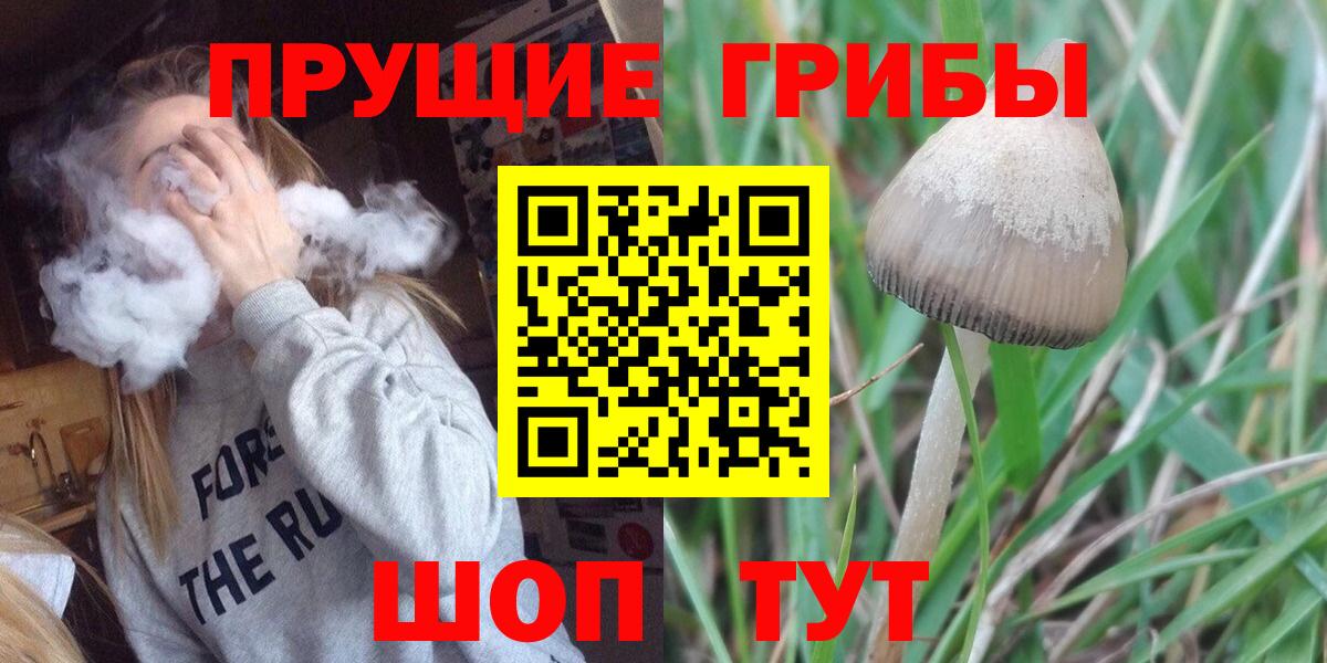 дарнет шоп  Псилоцибиновые грибы мицелий  Вход с VPN  Богородицк  Галлюциногенные грибы Psilocybine cubensis 